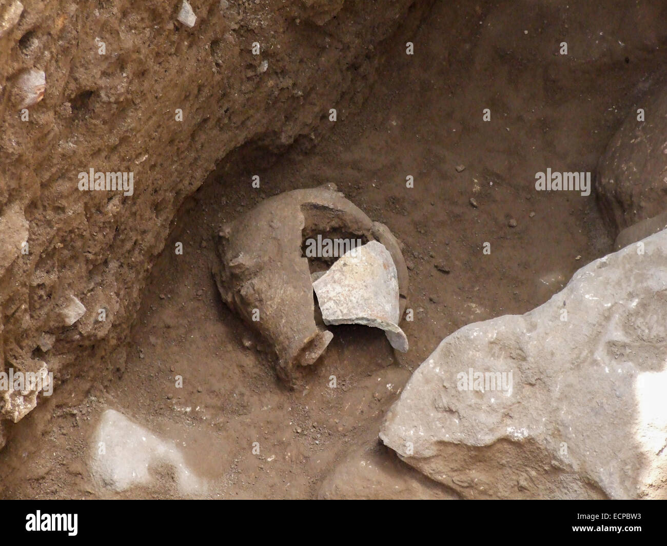 (141217) -- Gerusalemme, Dic 17, 2014 (Xinhua) -- Handout foto rilasciata da Israele la Autorità di Antichità del 16 dicembre, 2014, mostra un campionato vaso in ceramica datato a circa 5.800 A.C. Resti di 8.000-anno-vecchio olio d'oliva dissotterrato nel nord di Israele possono essere i più antichi noti uso di olio d'oliva del Mediterraneo, i ricercatori con le Autorità di Antichità Israele ha detto Mercoledì. I ricercatori hanno trovato decine di vasellame datata agli inizi del periodo calcolitico, o il sesto millennio A.C., durante lo scavo di recupero condotte tra il 2011 e il 2013 a En Zippori nella Bassa Galilea, prima Foto Stock