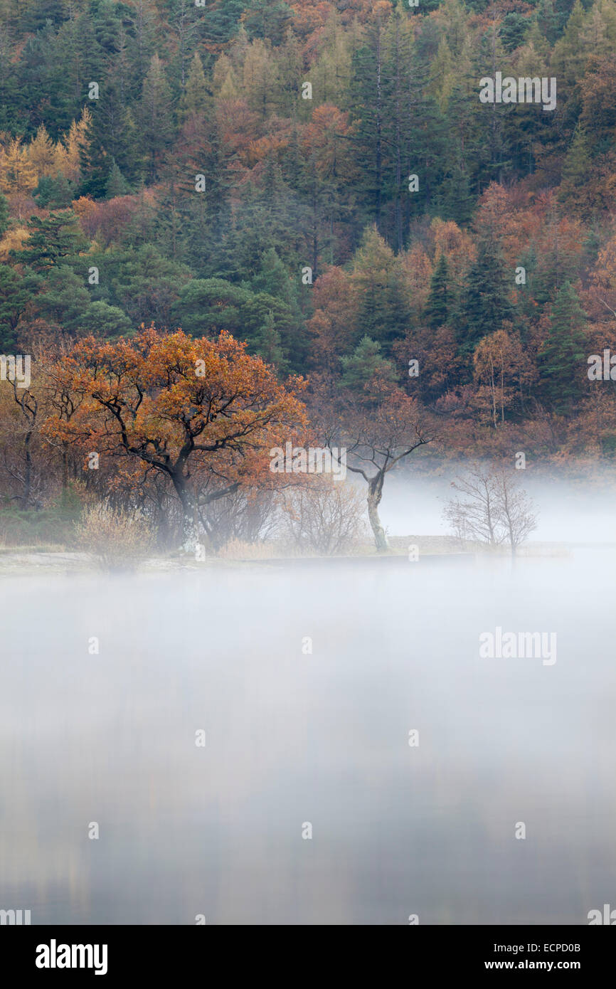 La nebbia in Crummock acqua nel Parco Nazionale del Distretto dei Laghi Foto Stock