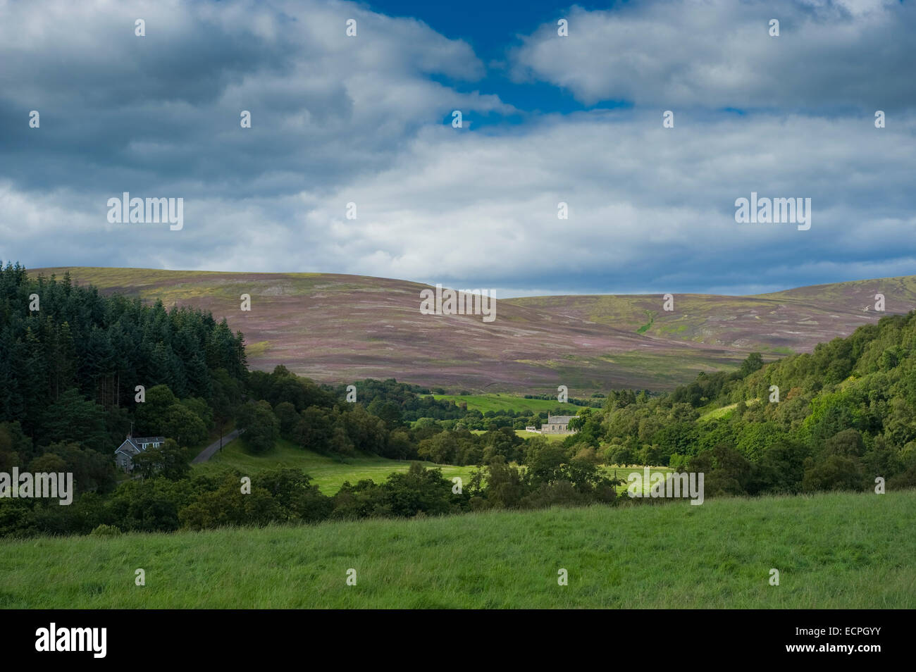Le colline di Speyside, Scozia. Foto Stock