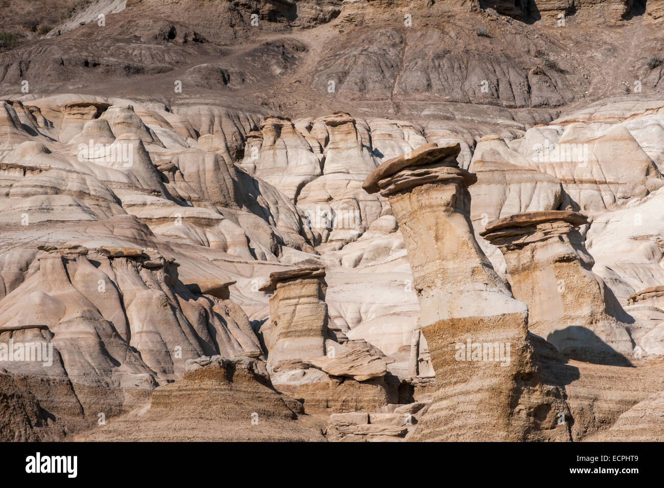 Drumheller, Alberta Canada Foto Stock