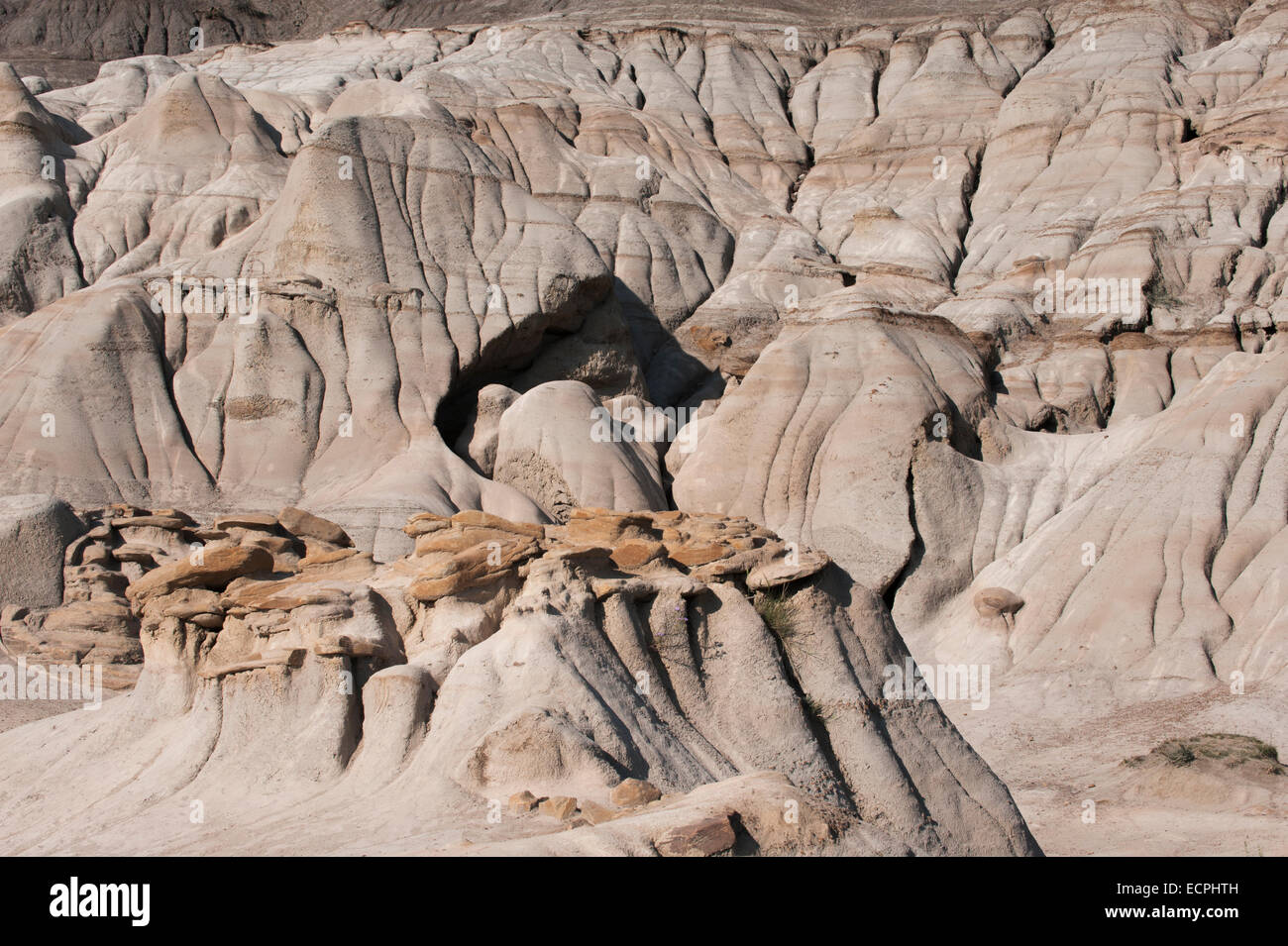 Drumheller, Alberta Canada Foto Stock