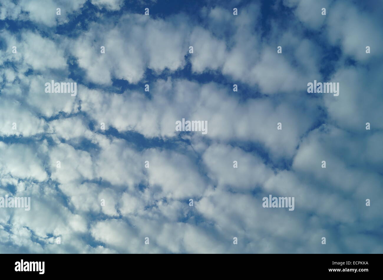 Cielo blu e nuvole bianche Foto Stock