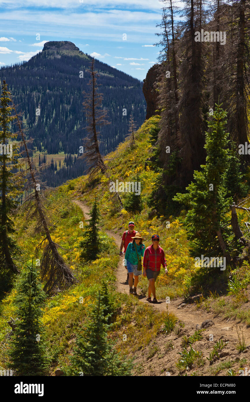 Gli escursionisti a piedi vicino a lobo punto, quota 7060 piedi, sulla Divisione Continentale - SOUTHERN COLORADO MR Foto Stock