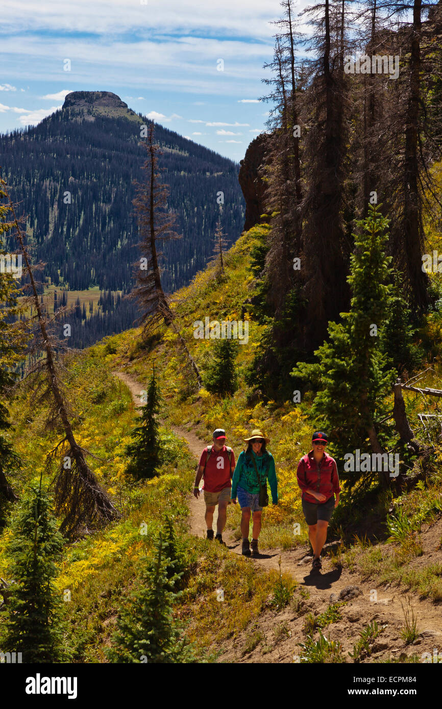 Gli escursionisti a piedi vicino a lobo punto, quota 7060 piedi, sulla Divisione Continentale - SOUTHERN COLORADO MR Foto Stock