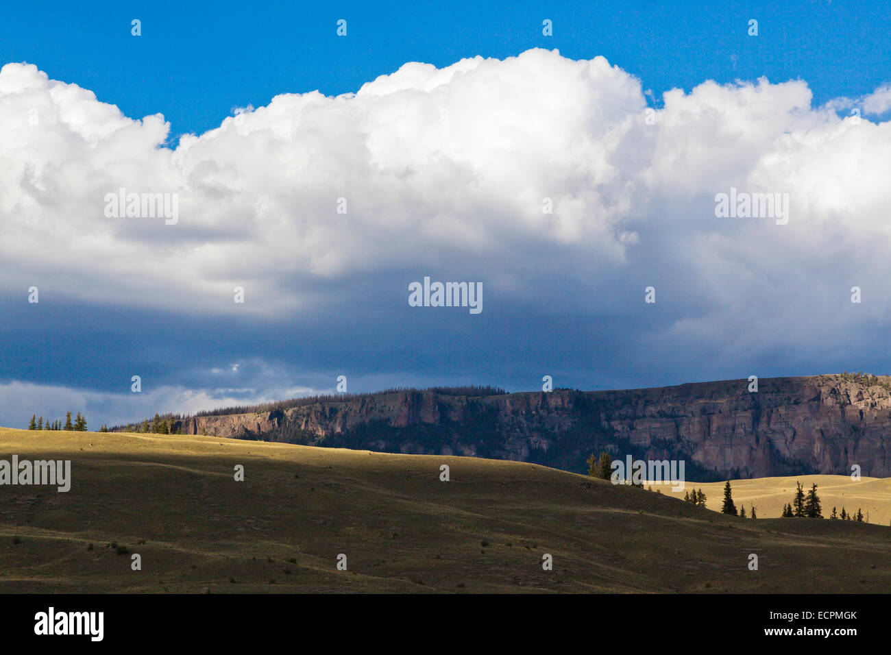 Un cumulus nuvola sulla testa di Bristol in SAN JUAN MOUNTAINS - Southern Colorado Foto Stock