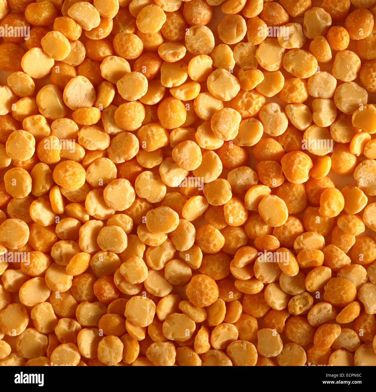 Giallo piselli secchi come sfondo in primo piano Foto Stock