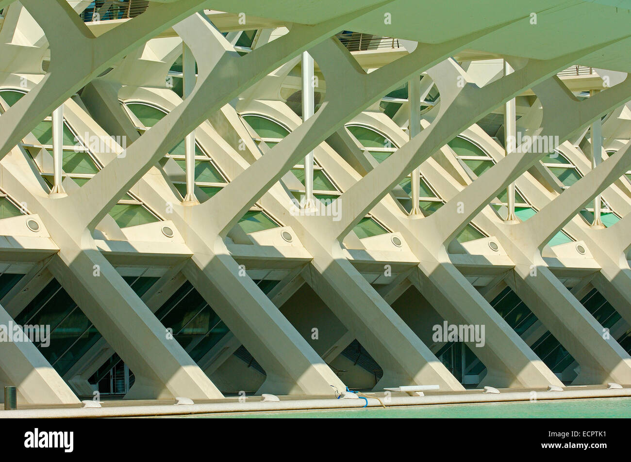 Príncipe Felipe Museo delle Scienze, Città delle Arti e delle Scienze da S. Calatrava, Valencia, Comunidad Valenciana, Spagna, Europa Foto Stock