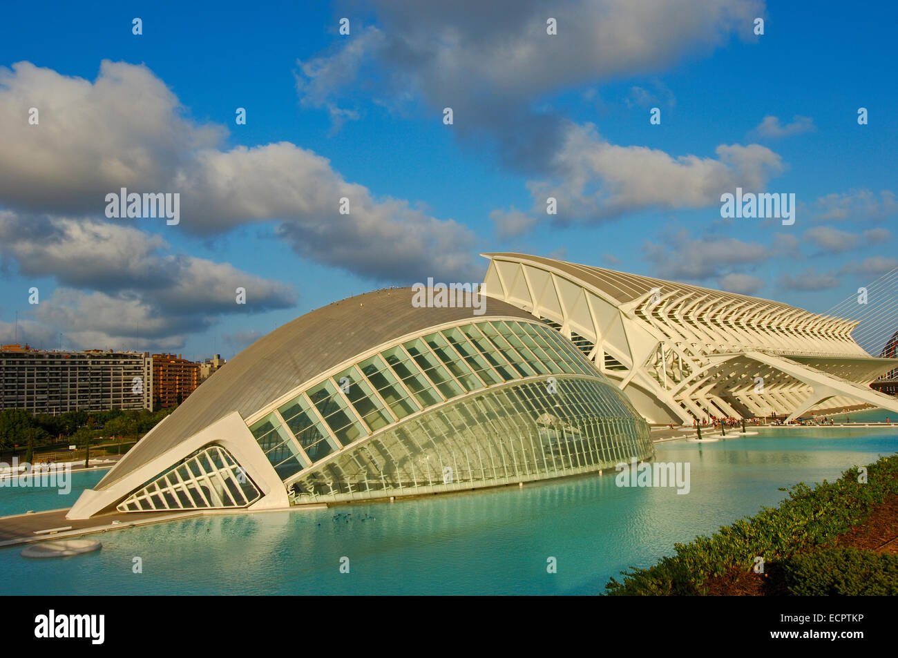 L'Hemisferic, da S. Calatrava, Città delle Arti e delle Scienze, Comunidad Valenciana, Valencia, Spagna, Europa Foto Stock