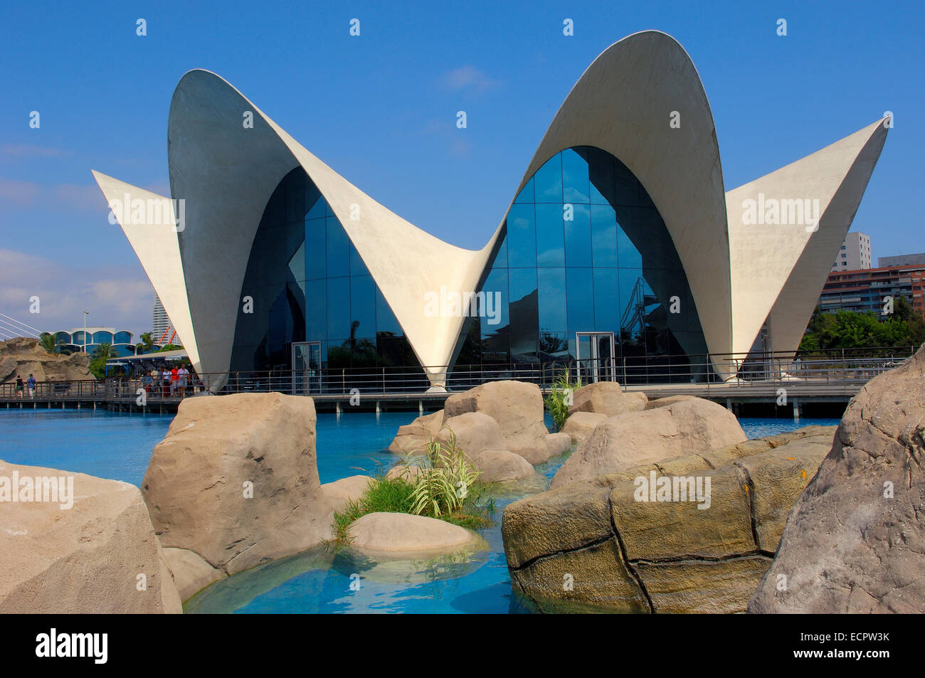 L'acquario Oceanogràfic, Città delle Arti e delle Scienze da S. Calatrava, Valencia, Comunidad Valenciana, Spagna, Europa Foto Stock