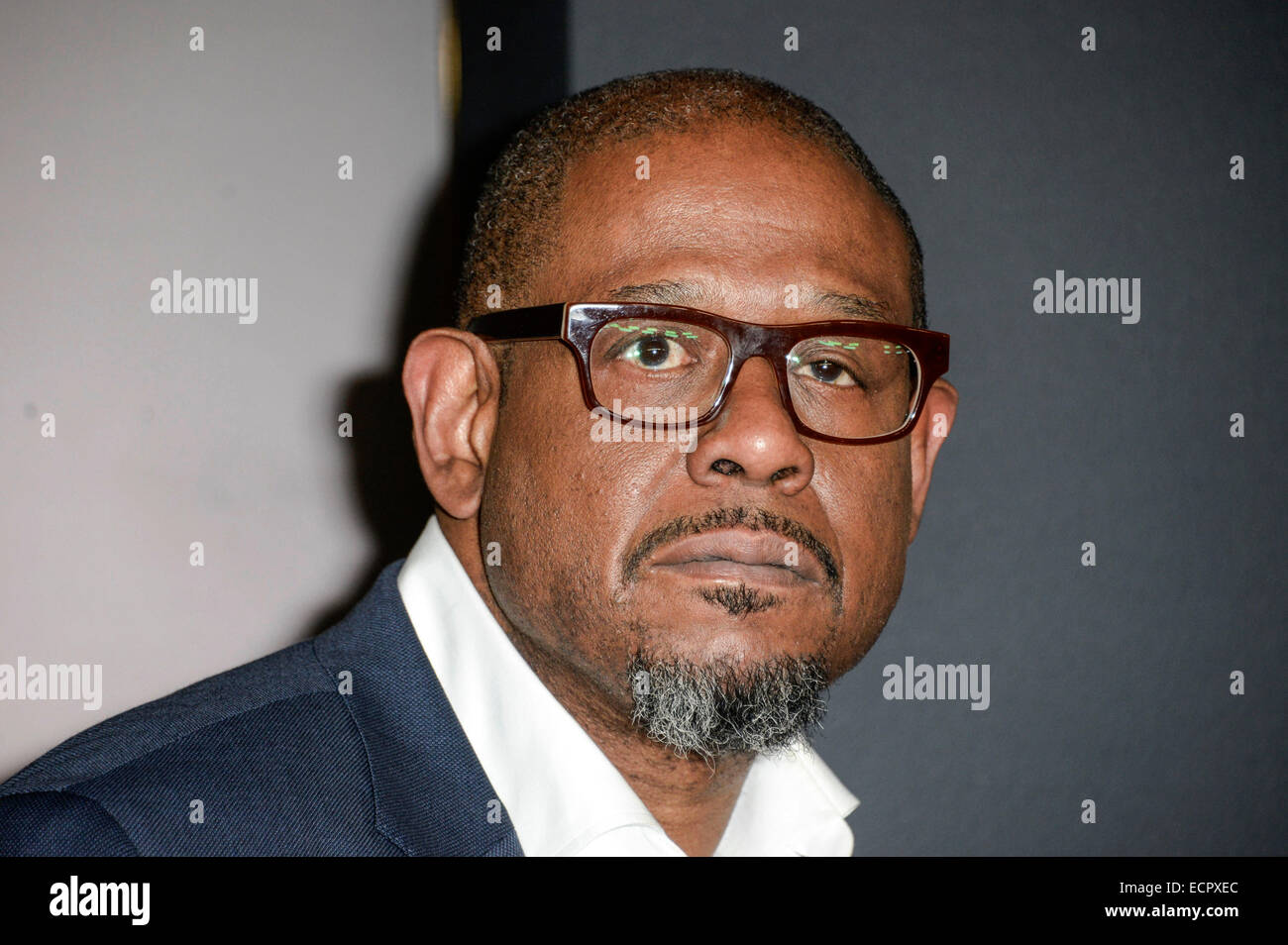 Forest Whitaker assiste la premiere del film "96 Ore - Presa 3' il 16 dicembre 2014 presso il Palazzo dello Zoo di Berlino in Germania./picture alliance Foto Stock