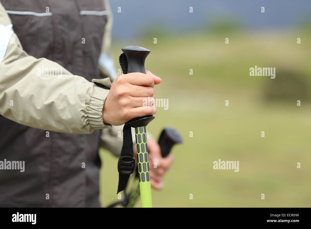 Escursionista mani tenendo un trekking pole mentre si cammina con uno sfondo verde Foto Stock