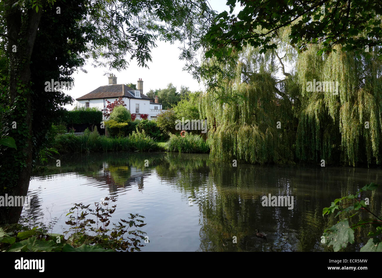 Somerleyton Duck Pond Foto Stock