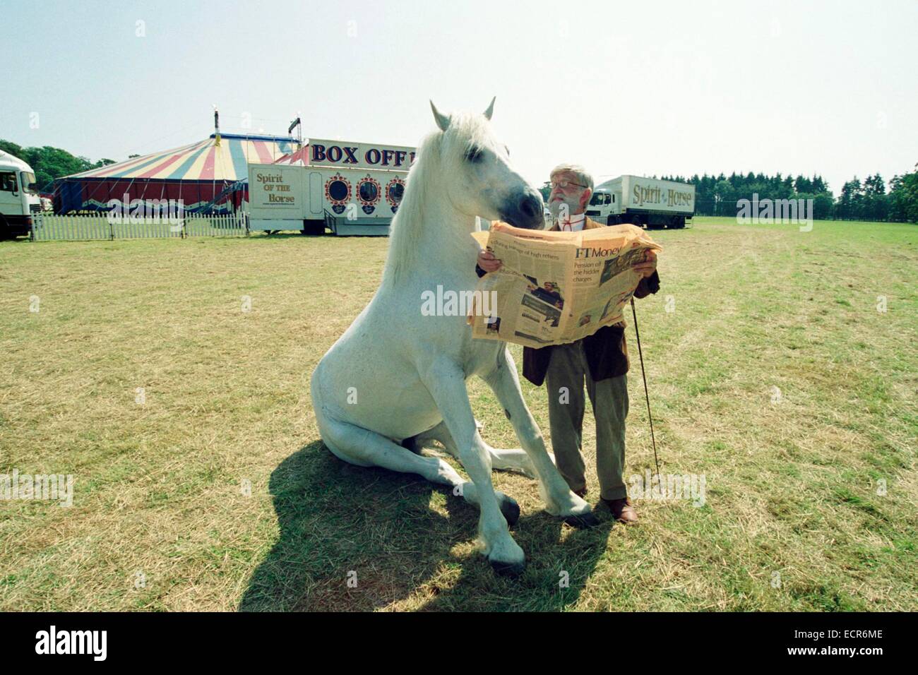 Una seduta circus cavallo catture fino sul business news con il suo allenatore quando il circus arriva alla sua destinazione vicino a Somerley Park in Hampshire REGNO UNITO circa 2001 Foto Stock