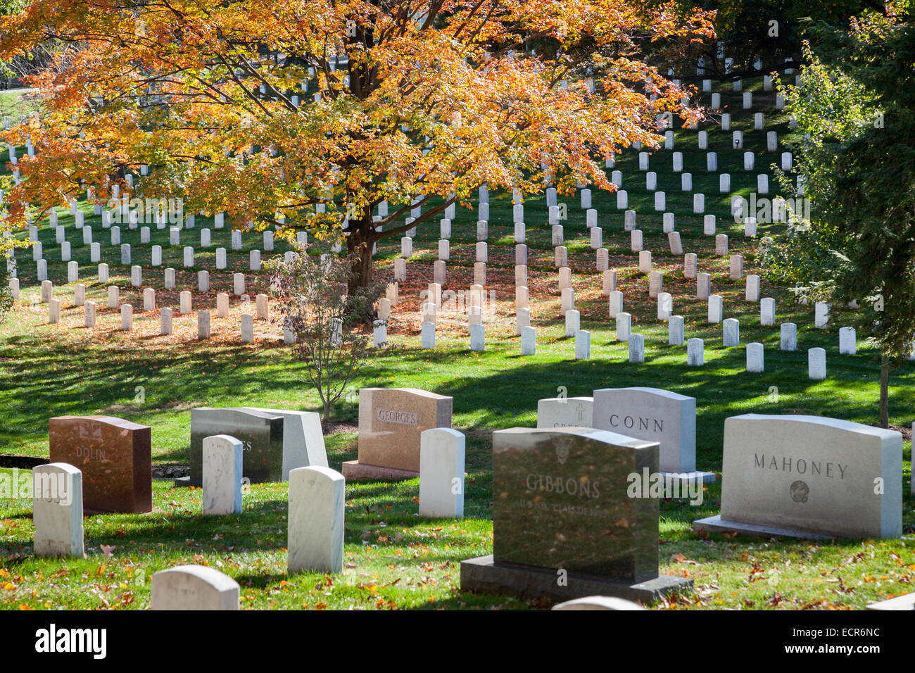Al Cimitero Nazionale di Arlington nel fogliame di autunno, Virginia Foto Stock