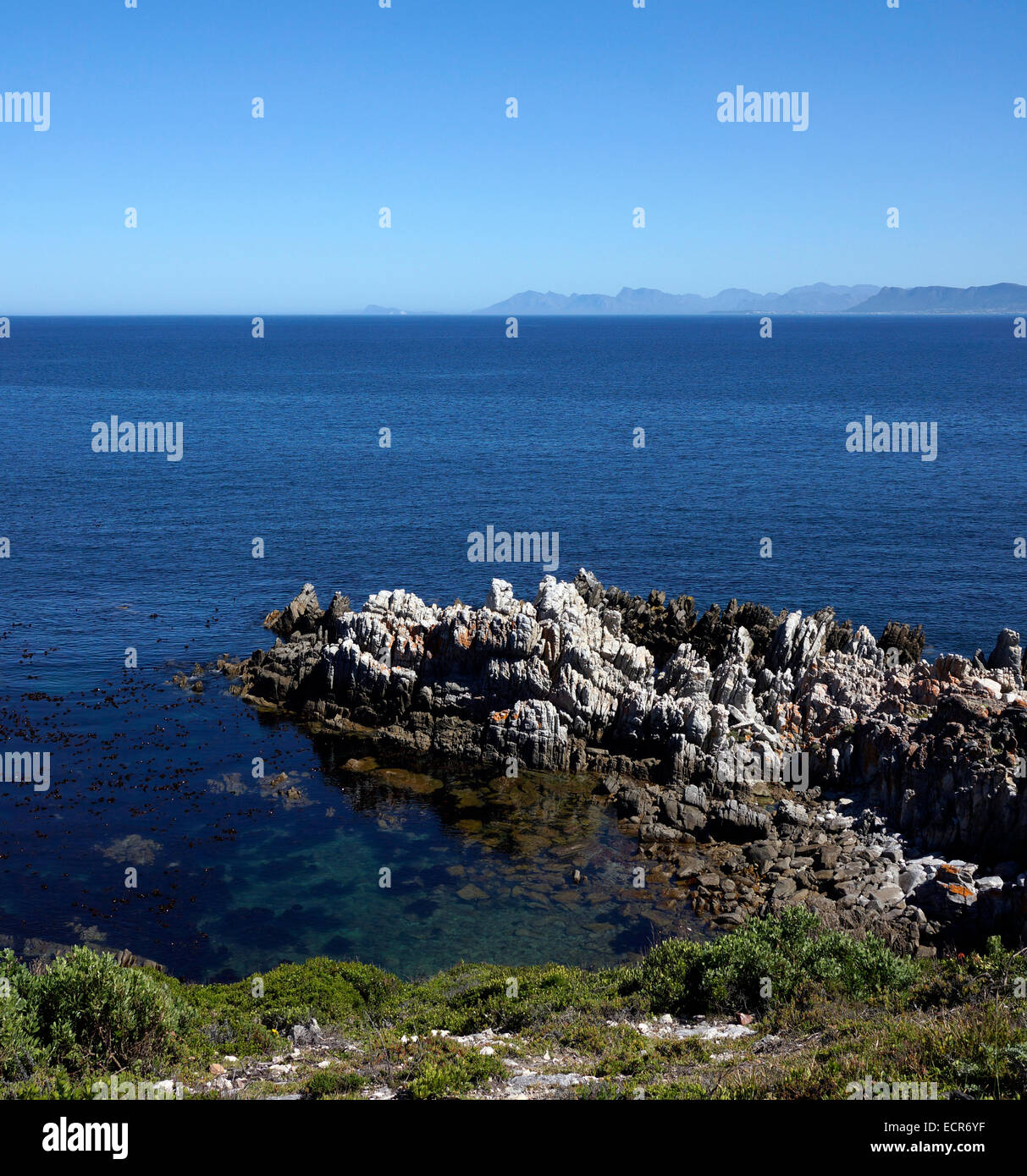 De Kelders sulla costa meridionale della provincia del Capo occidentale del Sud Africa è un posto popolare per fare whale watching. Foto Stock