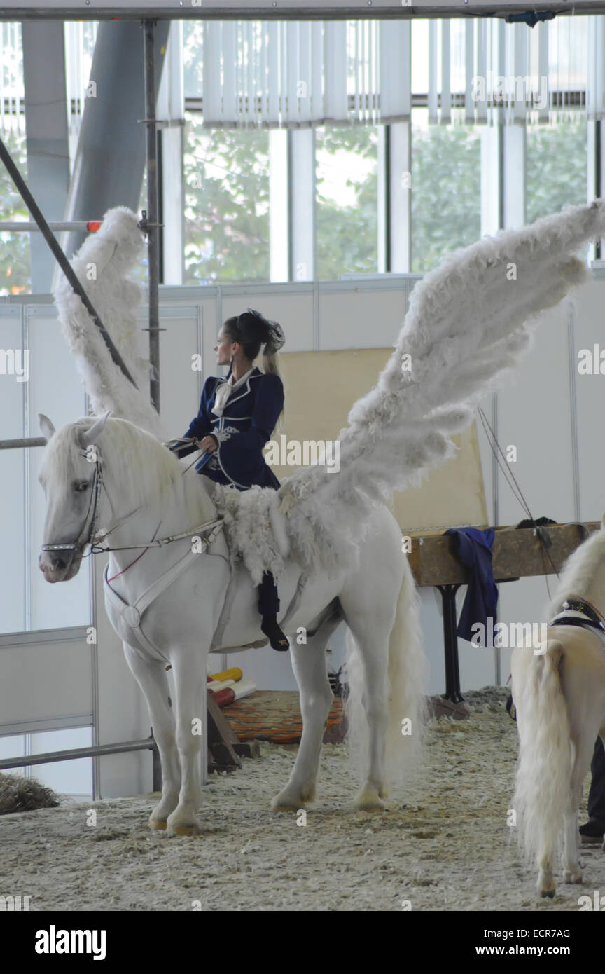 Pegasus. International Horse Show. Pilota femmina su un cavallo bianco. Ali bianche Foto Stock