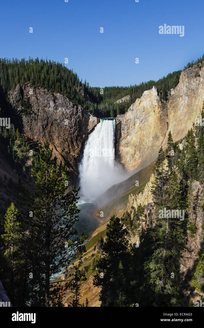 Le cascate Inferiori di Yellowstone River Wyoming usa il Parco Nazionale di Yellowstone Foto Stock