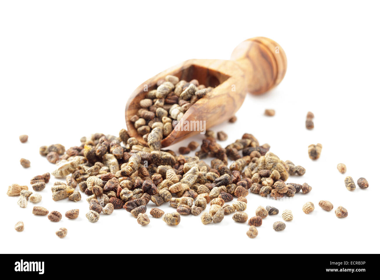 Semi di cardamomo Foto Stock