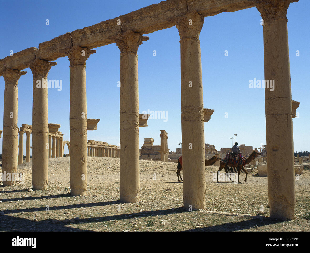 La Siria. Rovine di Palmyra. Medio Oriente. Colonnato. Iii secolo D.C. Oasis Tadmor. Vicino Oriente. Foto Stock