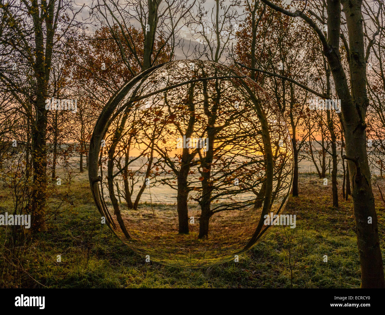 "Foreste Orb evoluzione", grande orb riflettente fornire punto focale a freddo in inverno mattina Foto Stock