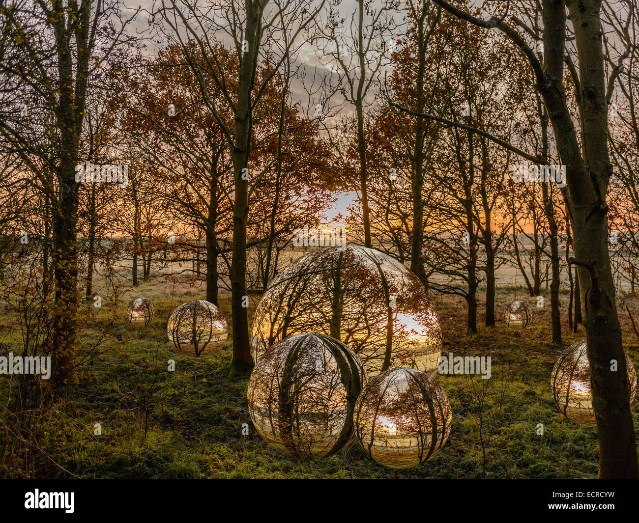 "Foreste Orb evoluzione", sette sfere riflettenti offrono punto focale a freddo in inverno mattina Foto Stock
