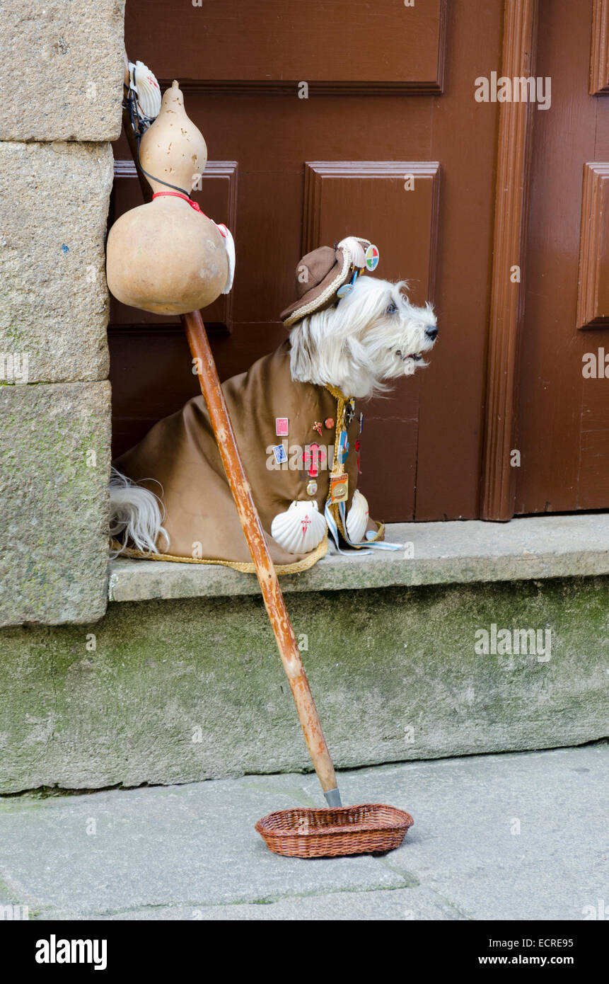 SANTIAGO DE COMPOSTELA, Spagna - 8 Settembre 2012: Cane vestito come un  pellegrino del cammino di san Giacomo. Il mendicante un po' di soldi per t  Foto stock - Alamy