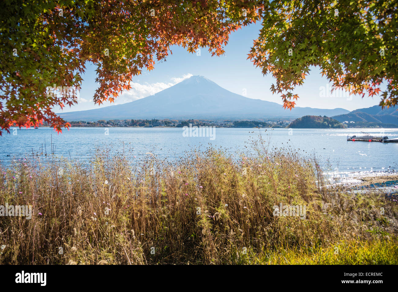 Colori autunnali con il Monte Fuji e il Lago Kawaguchi. Foto Stock
