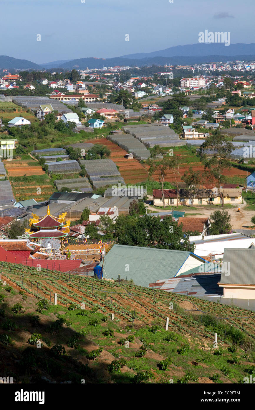 Vista delle serre utilizzate per la coltivazione di piante e ortaggi per uso domestico e per il consumo di esportazione nella da Lat bacino, Vietnam. Foto Stock