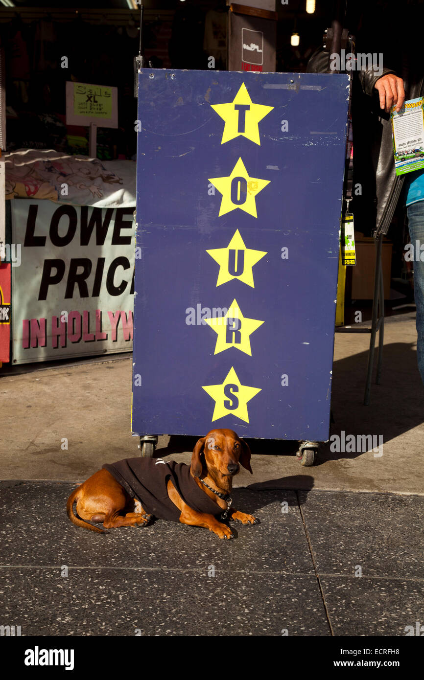Tour segno, Hollywood Blvd., Los Angeles, California, Stati Uniti d'America Foto Stock