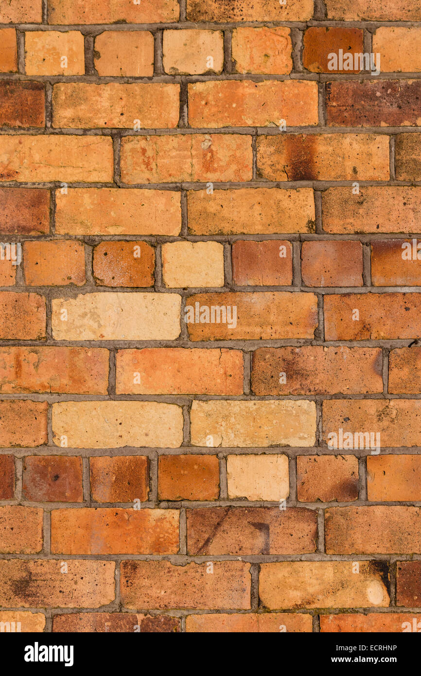 Orange muro di mattoni Foto Stock