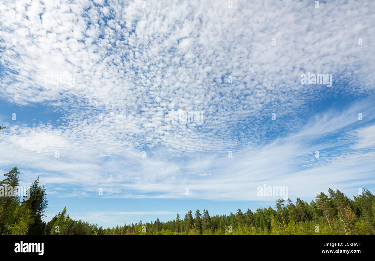 Sottile strato di nuvole bianche su cielo blu , Finlandia Foto Stock