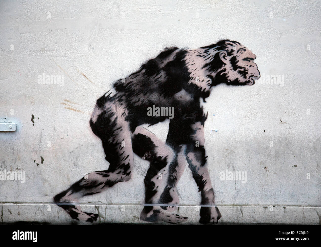 Neanderthal Ape Graffiti a Clapham - London REGNO UNITO Foto Stock