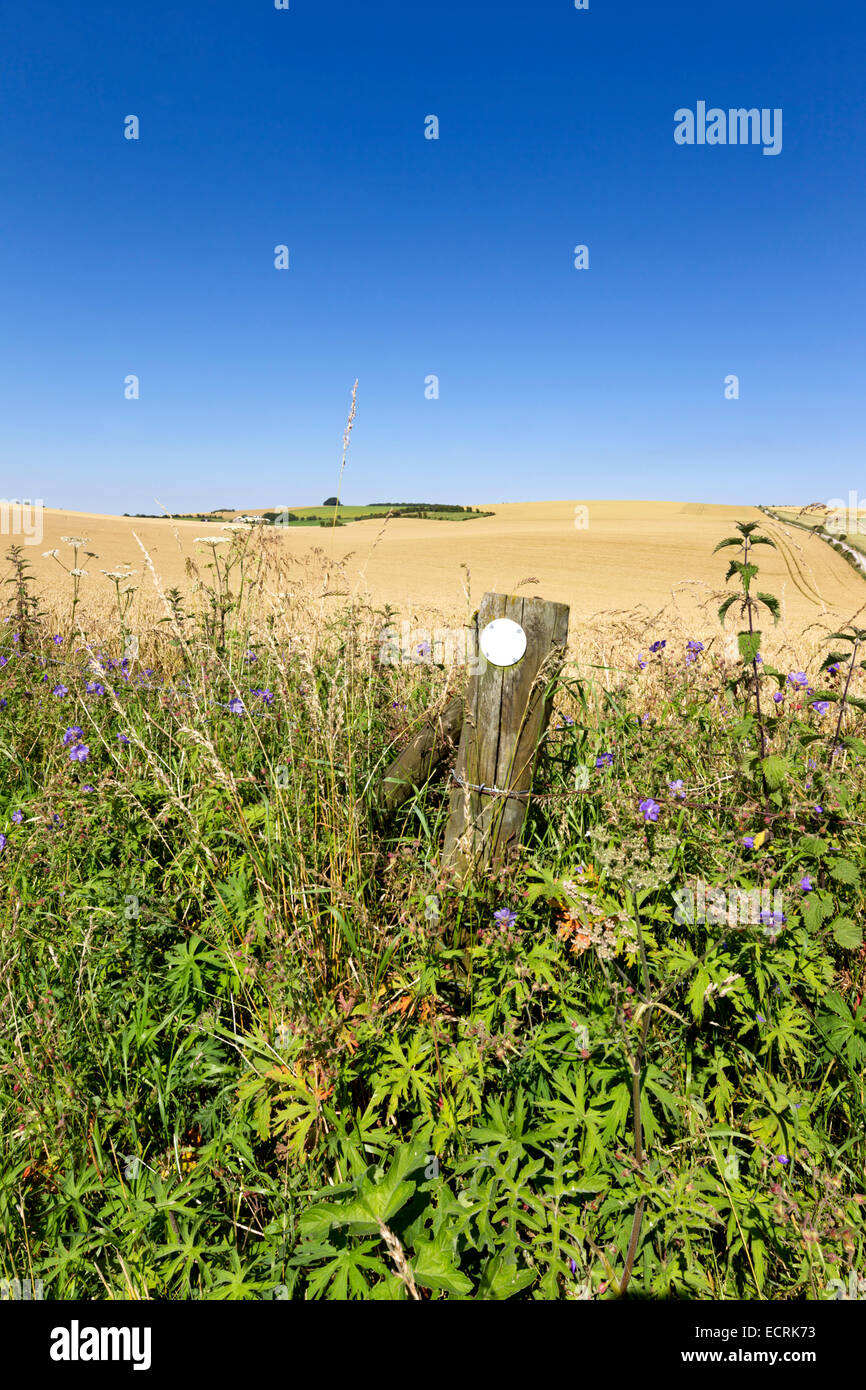 Il Wessex Ridgeway percorso in corrispondenza Bratton, Wiltshire, Regno Unito. Il 24 luglio 2012. Foto Stock