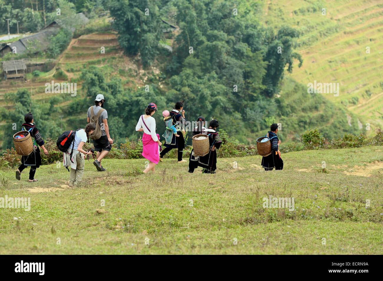 Un gruppo di giovani turisti in un trekking Sapa Sisters. Passeggiata attraverso le terrazze di riso, con la donna Hmong sulla strada per il mercato a Sapa Foto Stock