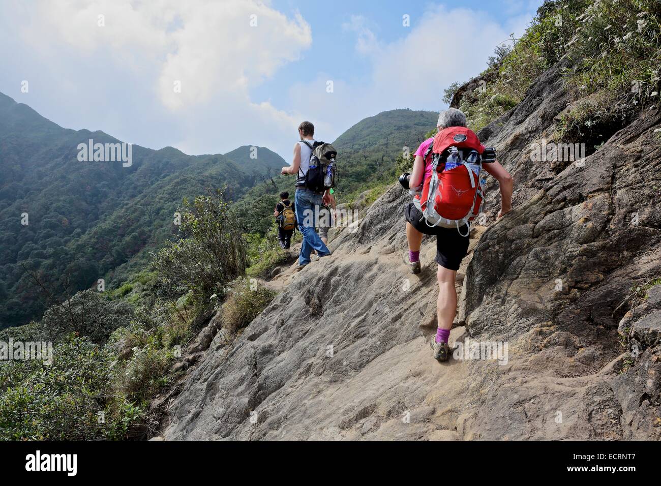 I turisti europei camminano fino alla cima del Monte Fansipan, la montagna più alta di Indochina a 3.147,3 metri. Sapa, Vietnam Foto Stock