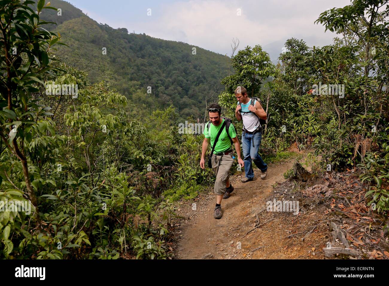 Due turisti europei camminano fino alla cima del Monte Fansipan, la montagna più alta di Indochina a 3.147,3 metri. Sapa, Vietnam Foto Stock