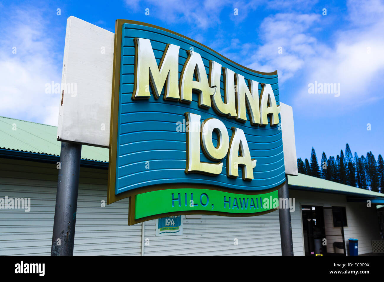 Mauna Loa noce Macadamia Corporation, Hilo, Big Island, Hawaii, Stati Uniti. Foto Stock