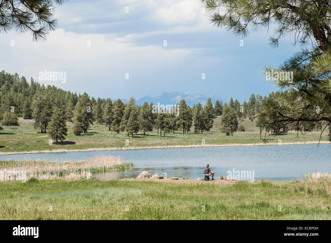 Lago alpino vicino a Pagosa Springs, Colorado Foto Stock