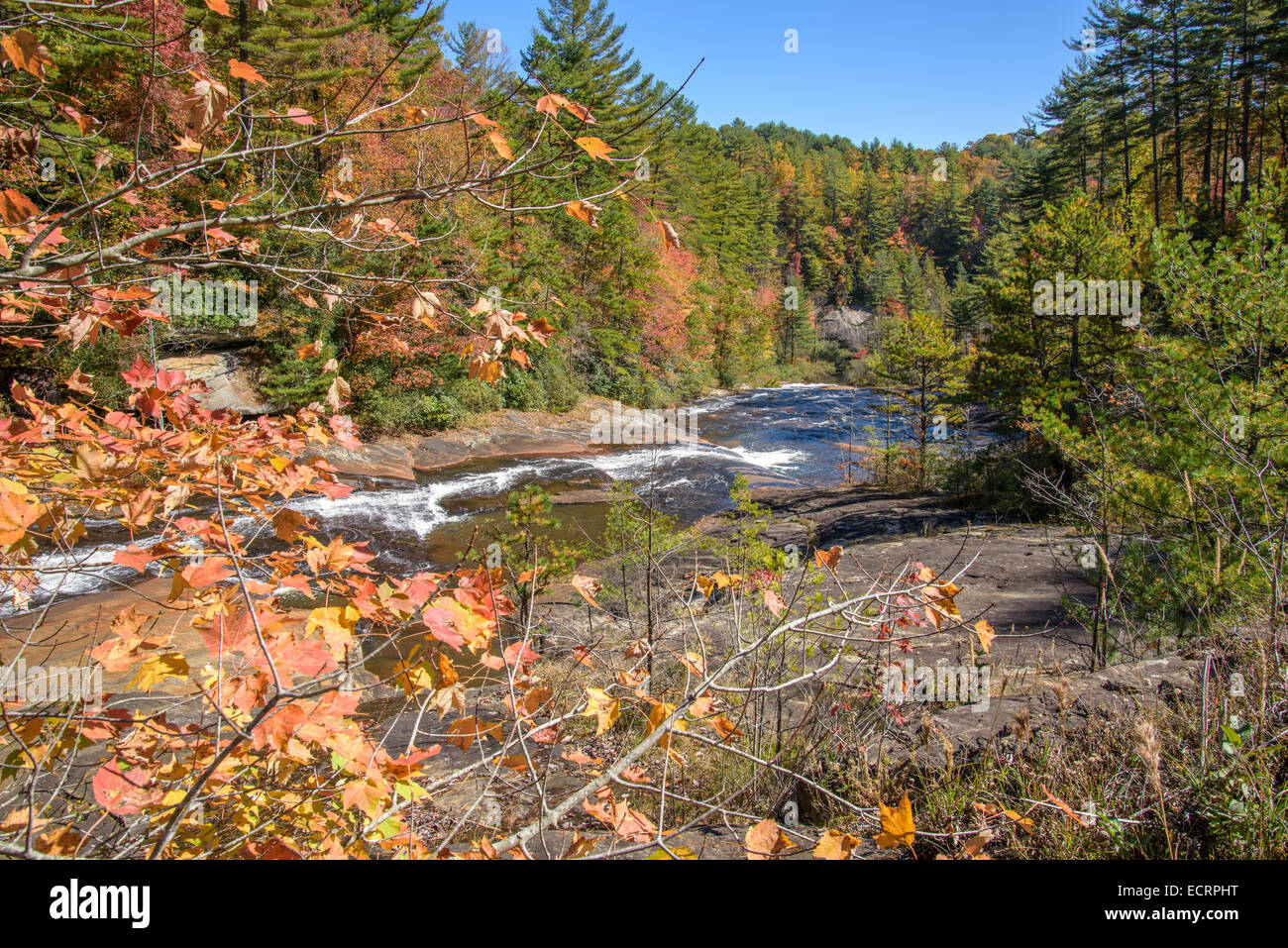 Scenic river in autunno a Toxaway Falls, Carolina del Nord Foto Stock