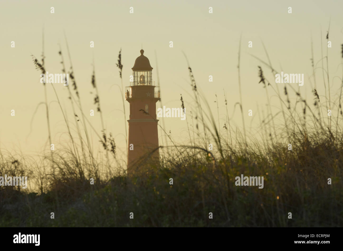 Faro e dune a Lighthouse Point State Park, Ponce Inlet, Florida USA Foto Stock