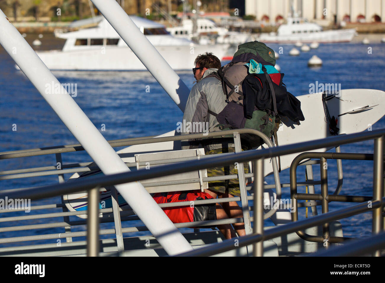 Tornando alla realtà, Isola Catalina, California. Foto Stock