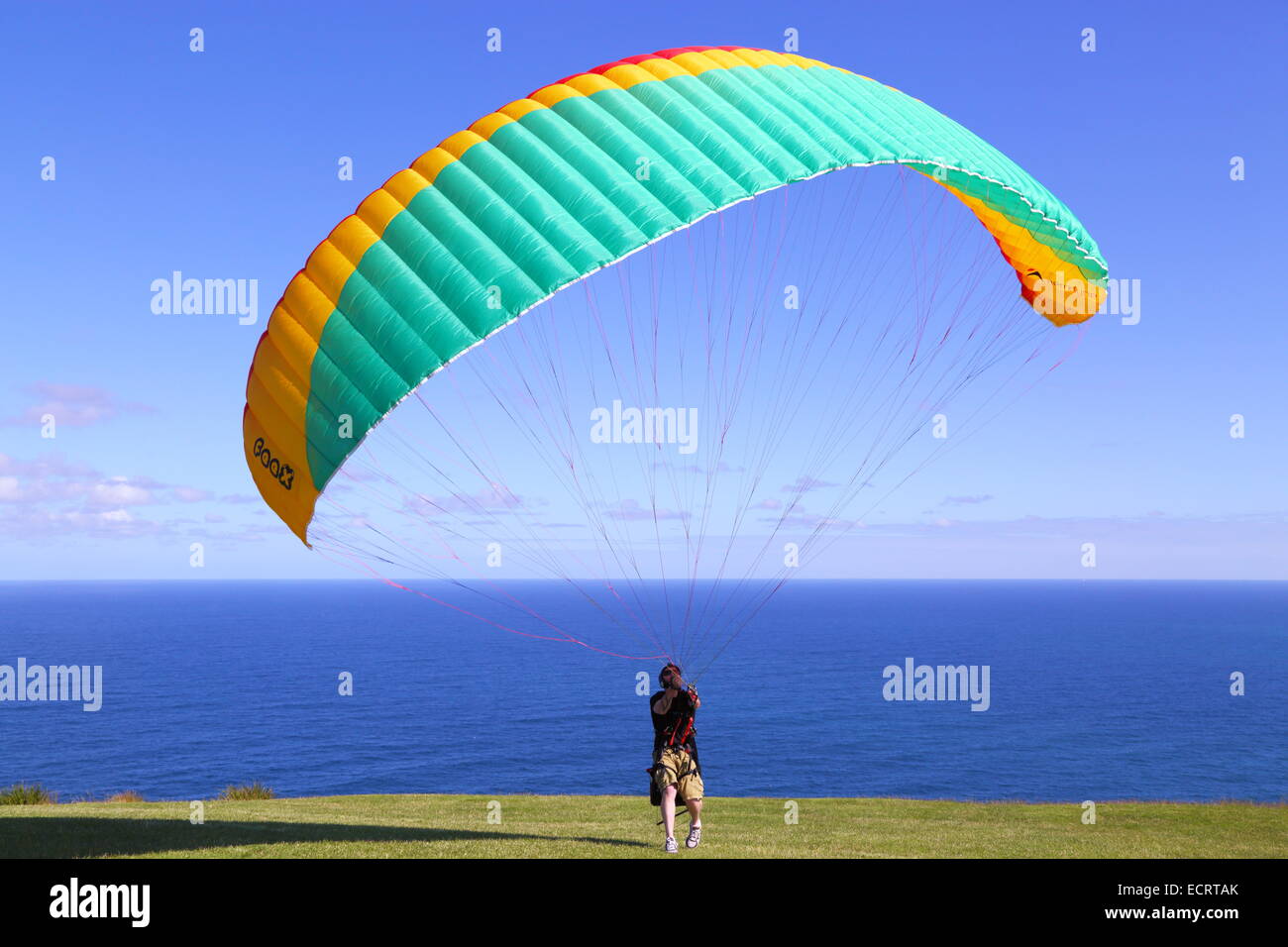 Un uomo prepara il suo parapendio per sollevare e salire sopra l'Oceano Pacifico off Bald Hill, Nuovo Galles del Sud, Australia. Foto Stock