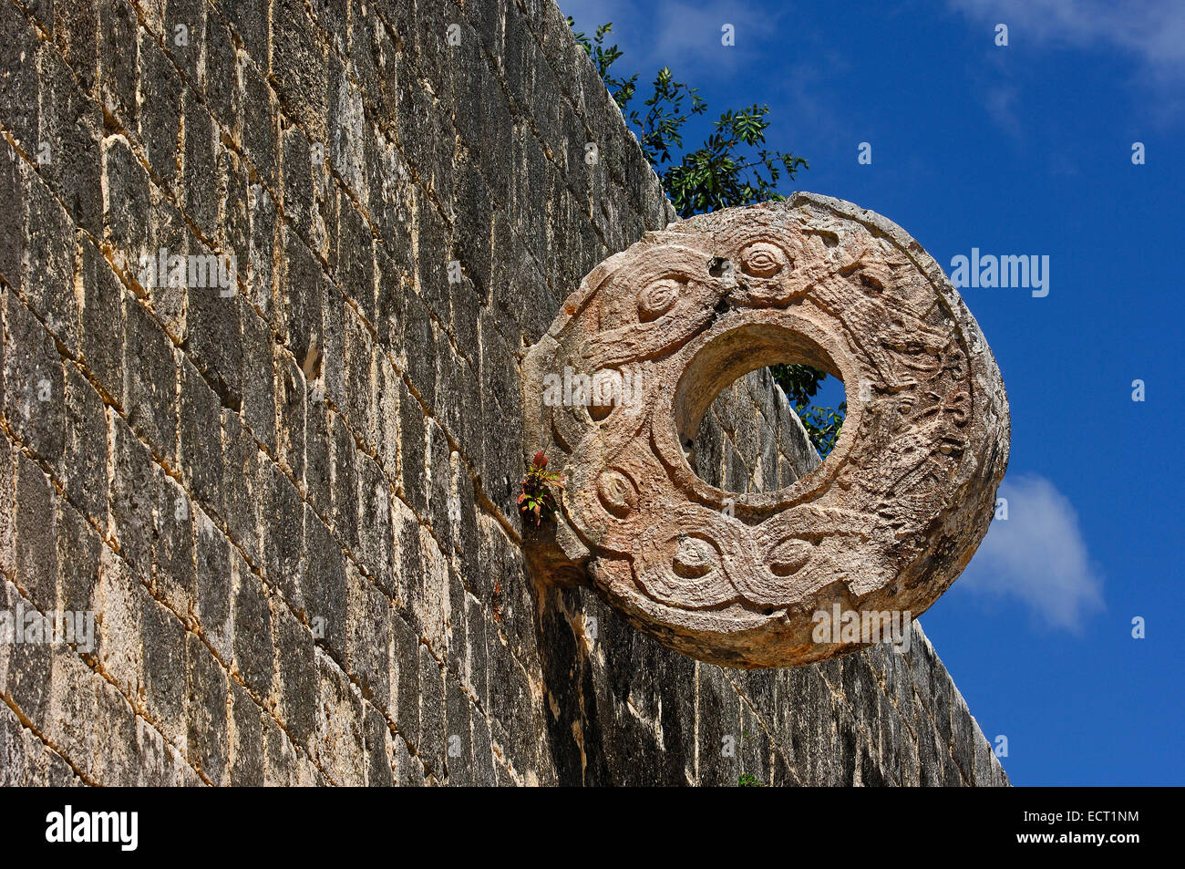 Obiettivo a palla di gioco corte, le rovine Maya di Chichen Itza, Riviera Maya, la penisola dello Yucatan, Messico Foto Stock