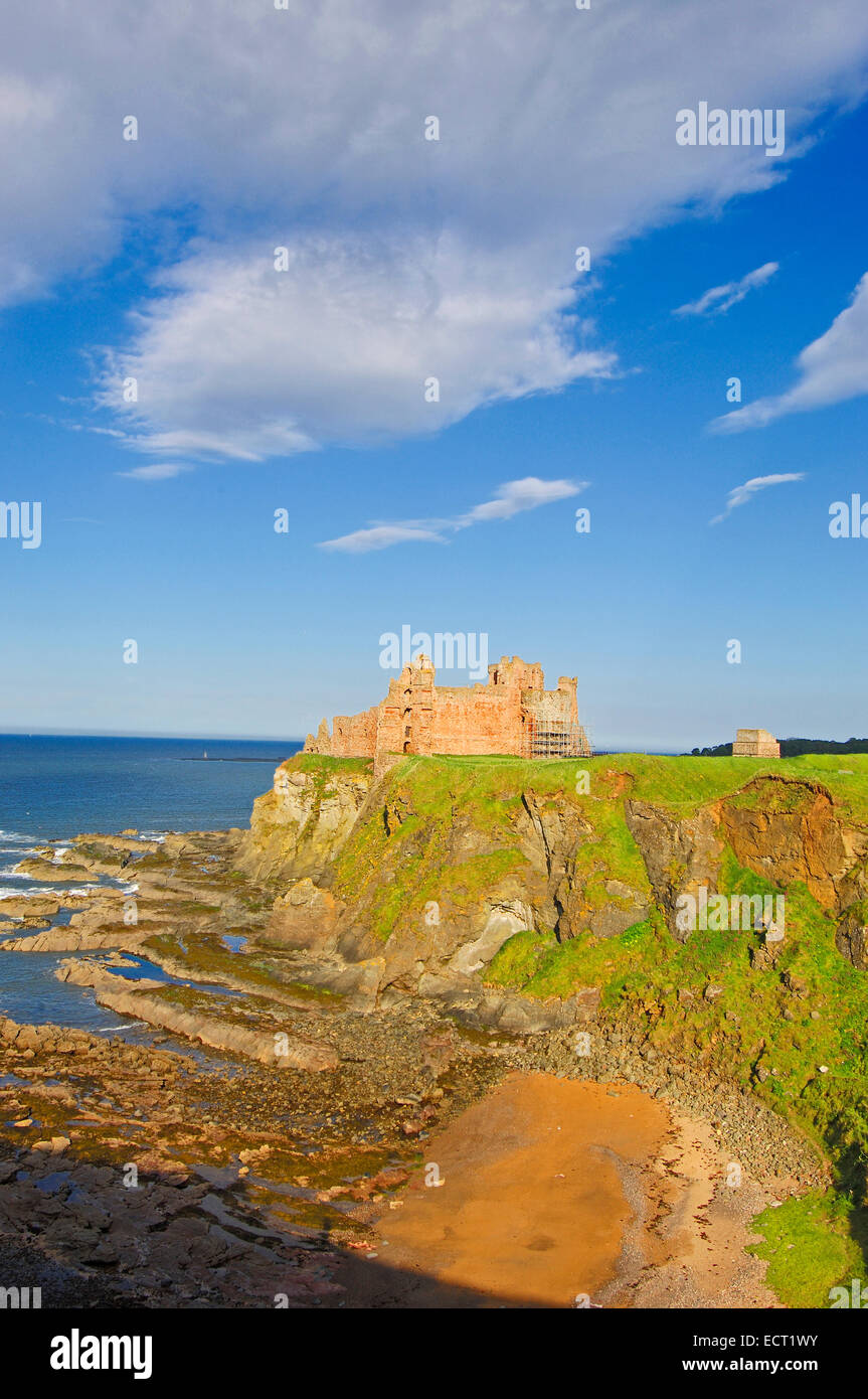 Il castello di Tantallon, East Lothian, North Berwick, Scotland, Regno Unito, Europa Foto Stock