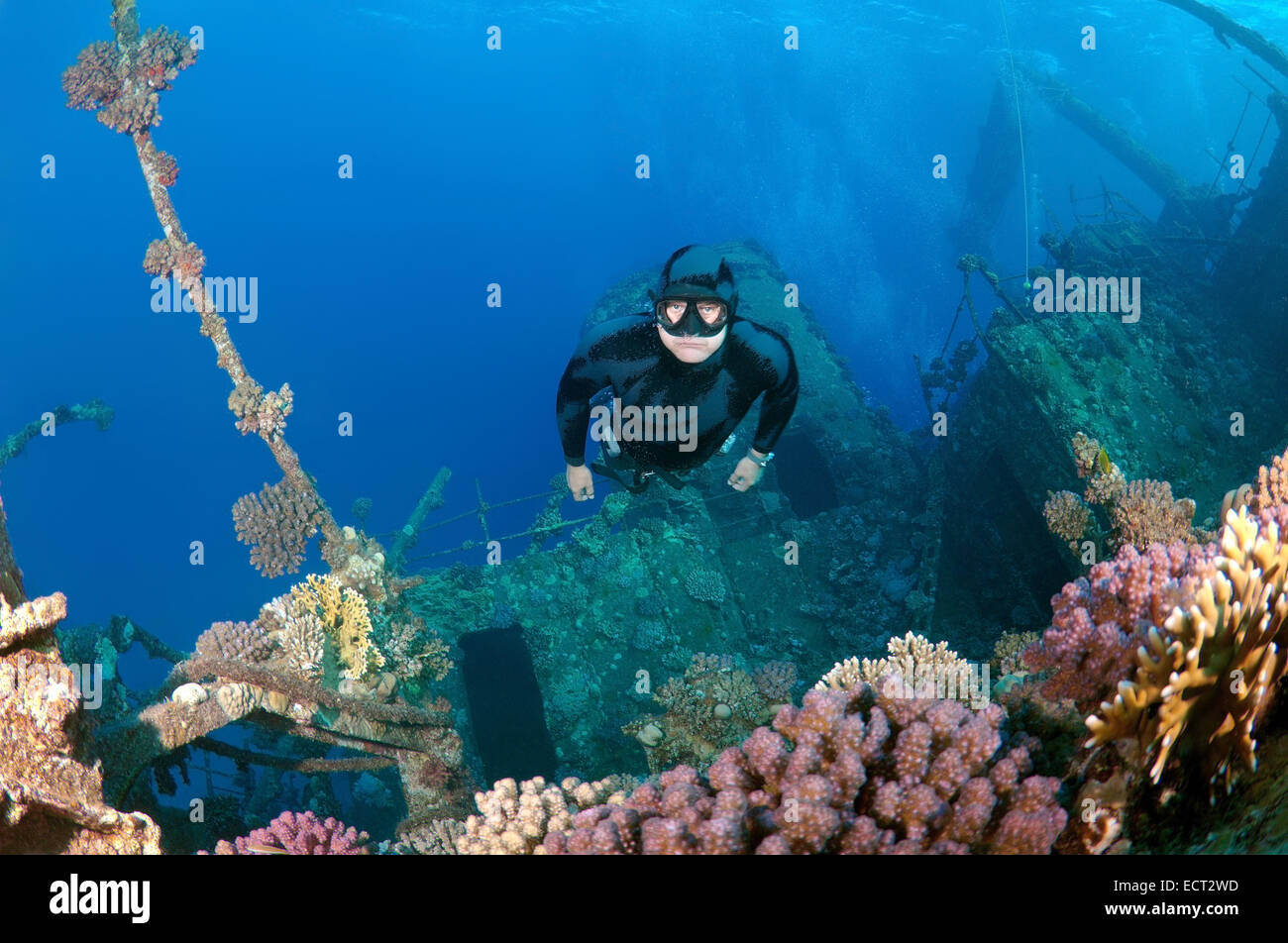 Freediver immersioni sulla wreckship Gianis D. Mare Rosso, Sharm El Sheikh, Egyp Foto Stock