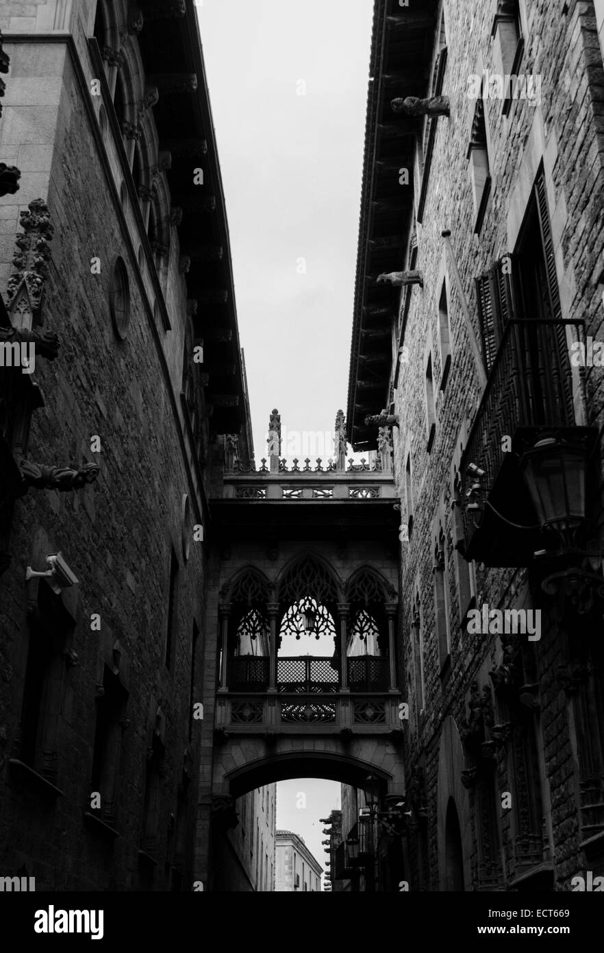 Barcellona, il quartiere gotico Foto Stock