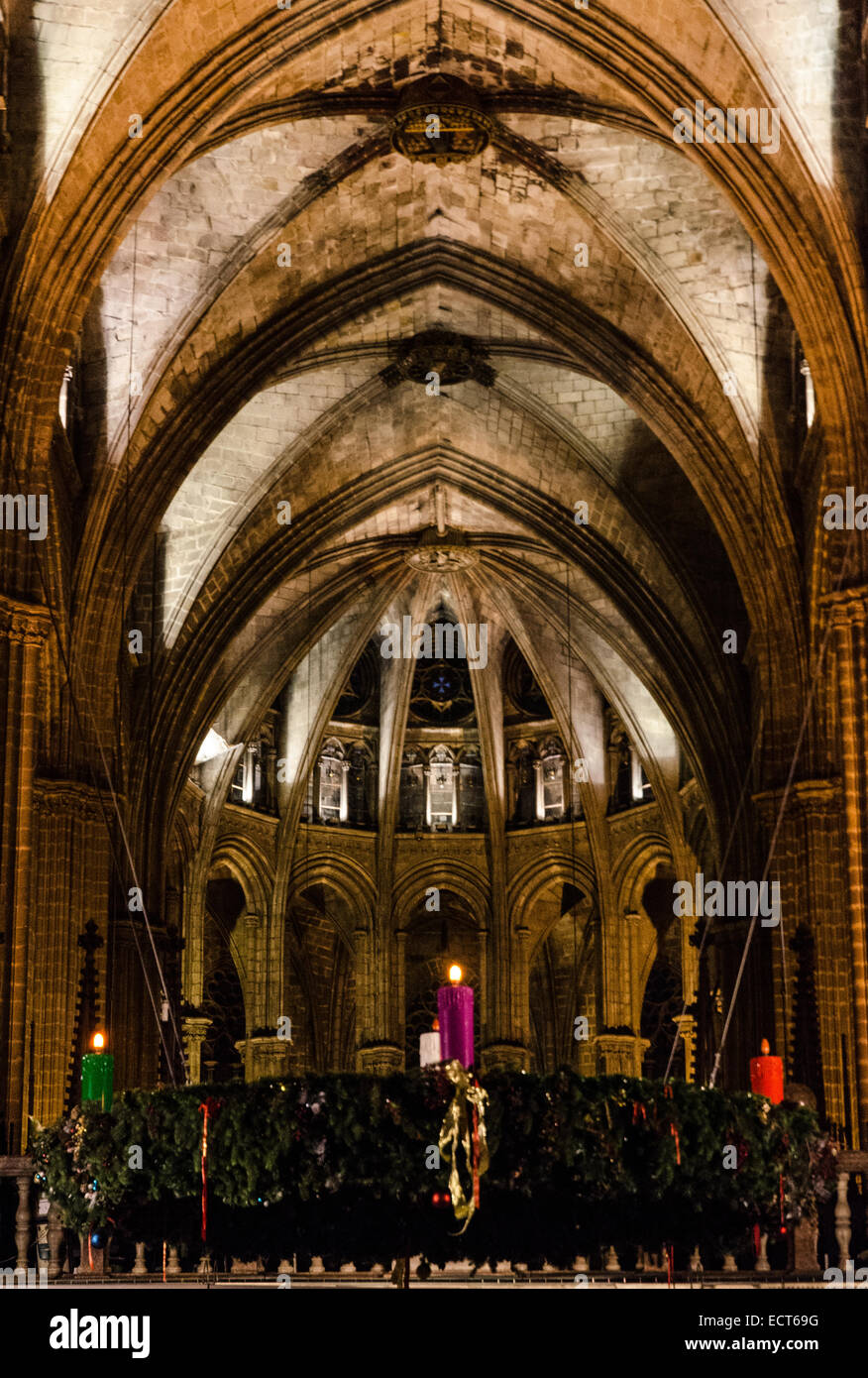 La Cattedrale di Santa Croce e di Santa Eulalia, noto anche come la cattedrale di Barcellona, è la cattedrale gotica. Foto Stock