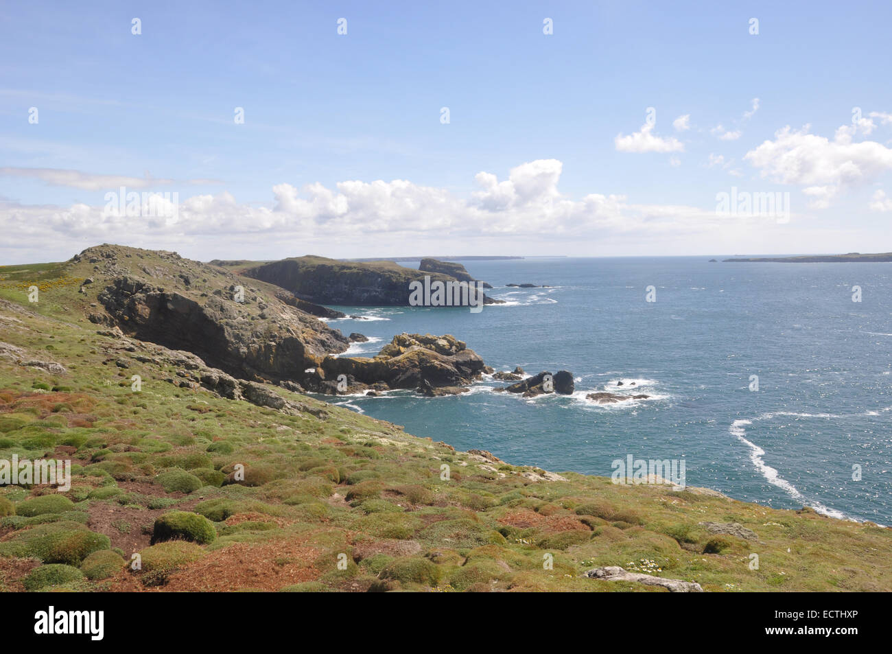 Skomer isola al largo della costa del Pembrokeshire nel Galles sudoccidentale Foto Stock