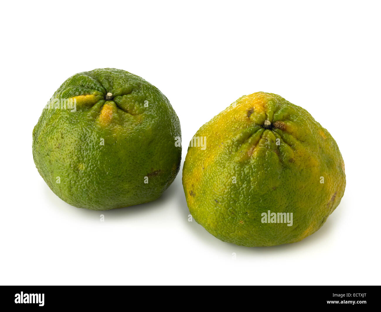 frutta di Ugli Foto Stock