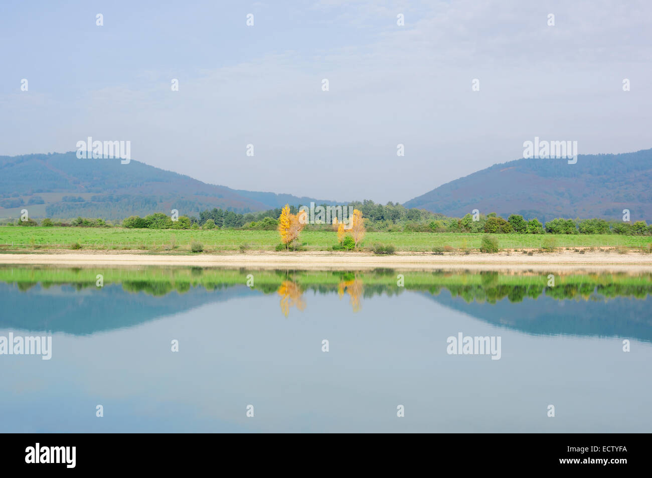 Simmetria con albero riflessioni su un lago. Ullibarri Ganboa Foto Stock